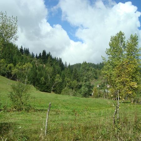 Кума Лиска Къща за Гости Кожари Екстериор снимка