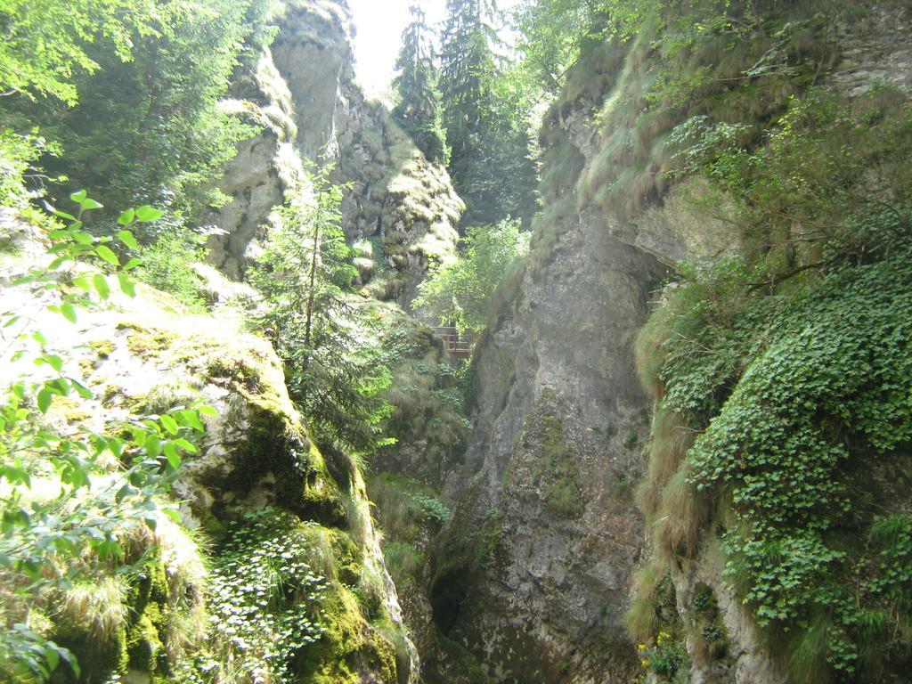 Кума Лиска Къща за Гости Кожари Екстериор снимка